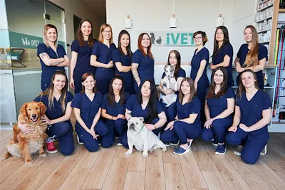 Przychodnia Weterynaryjna iVet